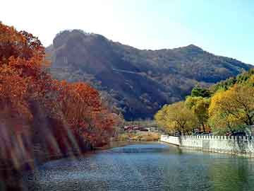 正版澳门天天开彩大全，烧碱市场价格